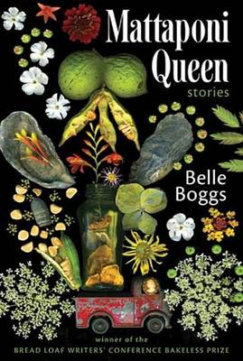 Book cover for Mattaponi Queen