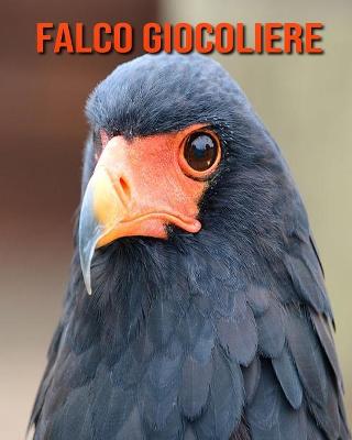 Book cover for Falco giocoliere