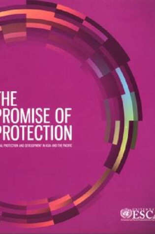 Cover of The Promise of Protection