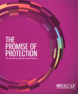 Book cover for The Promise of Protection