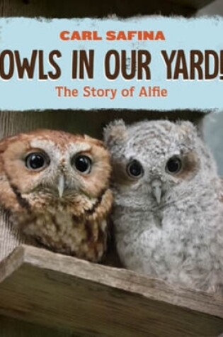 Cover of Owls in Our Yard!