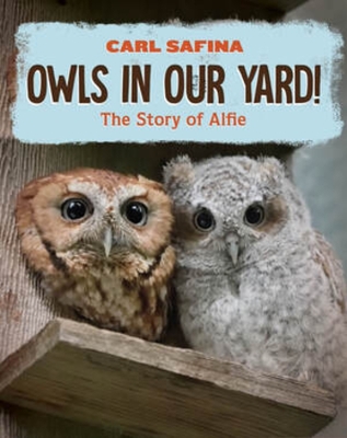 Owls in Our Yard! by Carl Safina