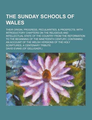 Book cover for The Sunday Schools of Wales; Their Origin, Progress, Peculiarities, & Prospects; With Introductory Chapters on the Religious and Intellectual State of