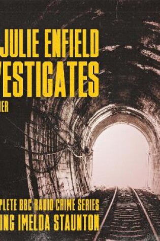 Cover of DSI Julie Enfield Investigates