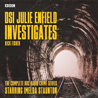 Book cover for DSI Julie Enfield Investigates