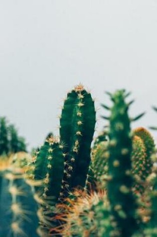 Cover of Bullet Journal Cactus Plants Photograph Notebook Dotted Journal