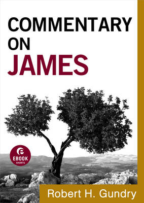 Book cover for Commentary on James