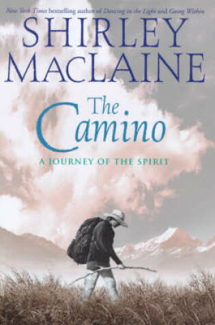 Cover of The Camino: a Journey of the Spirit