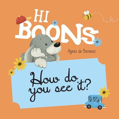 Book cover for Hi Boons - How Do You See It?