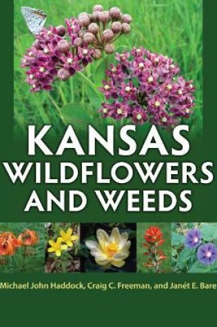 Cover of Kansas Wildflowers and Weeds