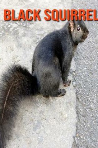 Cover of Black Squirrel