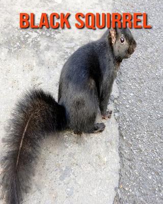 Book cover for Black Squirrel