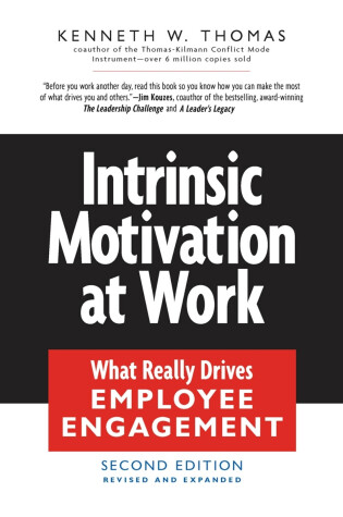 Cover of Intrinsic Motivation at Work