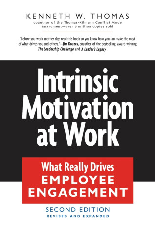 Book cover for Intrinsic Motivation at Work