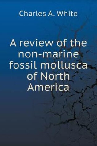 Cover of A review of the non-marine fossil mollusca of North America