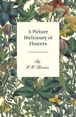 Book cover for A Picture Dictionary Of Flowers