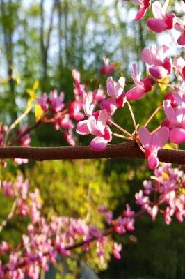 Book cover for Journal Springtime Beautiful Nature