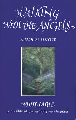 Book cover for Walking with the Angels