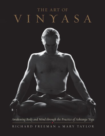 Book cover for The Art of Vinyasa