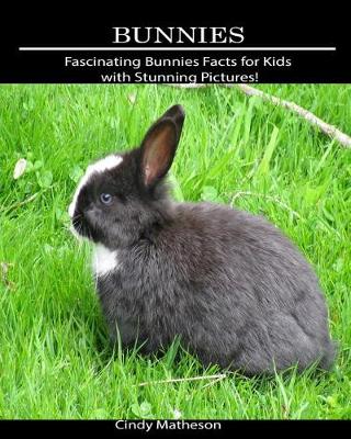 Book cover for Bunnies