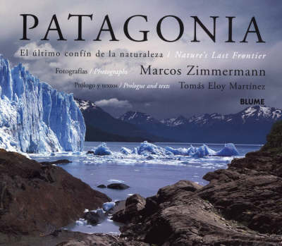 Book cover for Patagonia