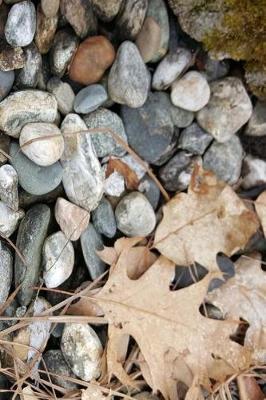 Cover of Journal Stones Rocks Dry Leaves