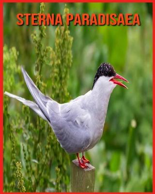 Book cover for Sterna Paradisaea