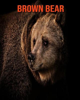 Book cover for Brown Bear