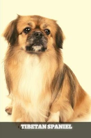 Cover of Tibetan Spaniel