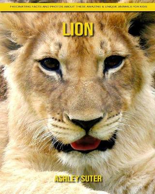 Book cover for Lion