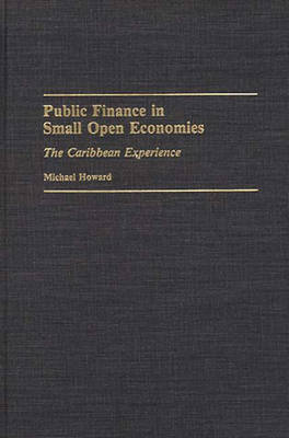 Book cover for Public Finance in Small Open Economies