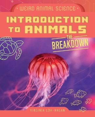 Book cover for Introduction to Animals