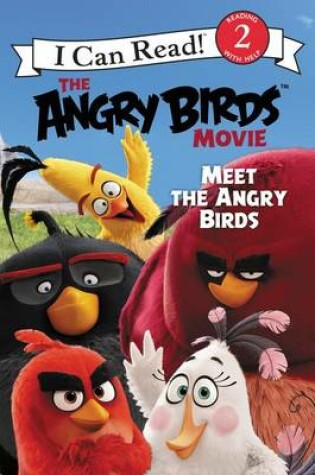 Cover of The Angry Birds Movie: Meet the Angry Birds