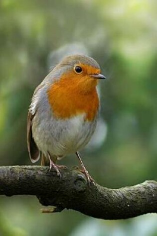 Cover of Robin on a Branch Bird Journal