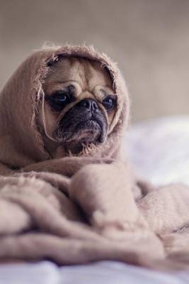 Book cover for Pug in a Blanket Dog Journal