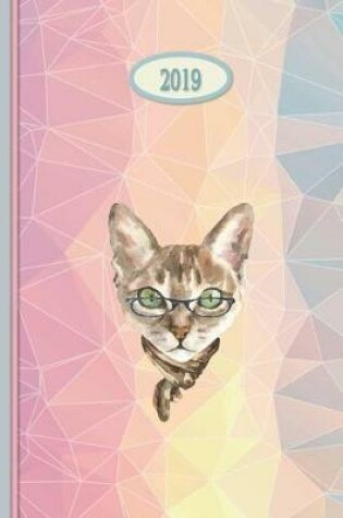 Cover of 2019 Planner - Rainbow Cat