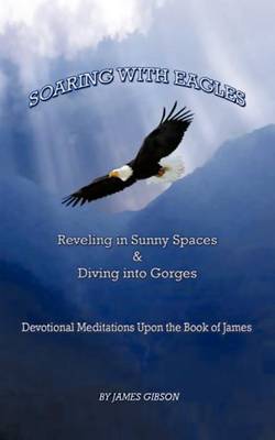 Book cover for Soaring with Eagles