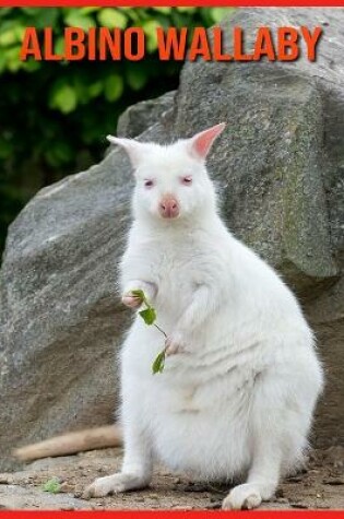 Cover of Albino Wallaby