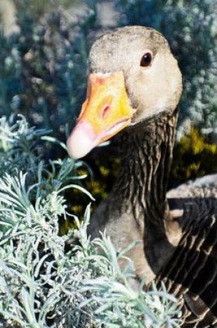 Cover of Greylag Goose, Birds of the World