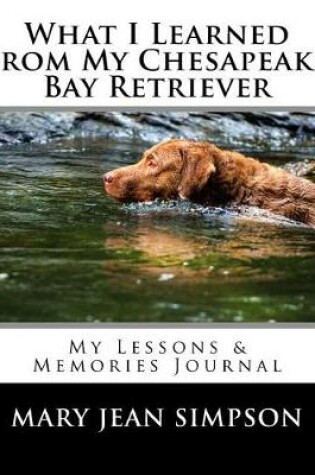 Cover of What I Learned from My Chesapeake Bay Retriever