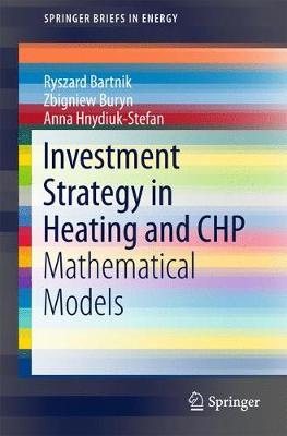 Cover of Investment Strategy in Heating and CHP