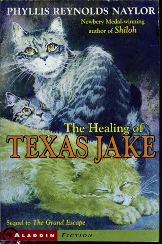 Book cover for Healing of Texas Jake