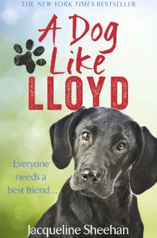 Cover of A Dog Like Lloyd