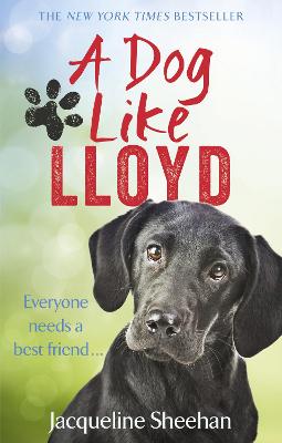 Book cover for A Dog Like Lloyd