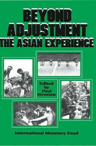 Cover of Beyond Adjustment