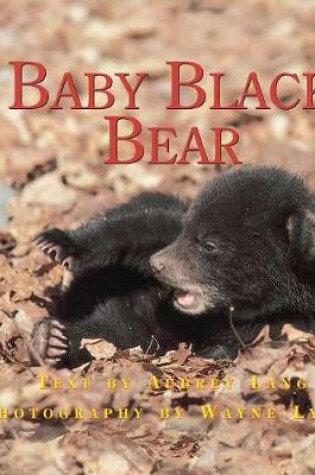 Cover of The Adventures of Baby Bear