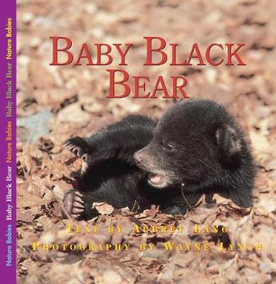 Cover of The Adventures of Baby Bear