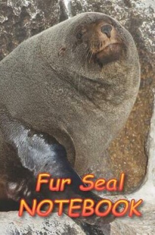 Cover of Fur Seal NOTEBOOK