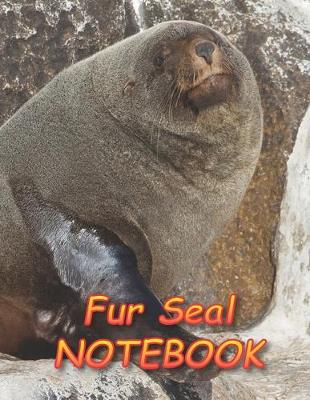 Book cover for Fur Seal NOTEBOOK