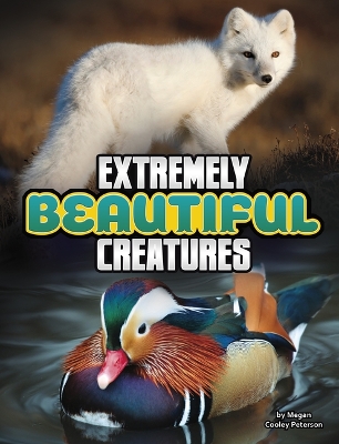 Cover of Extremely Beautiful Creatures